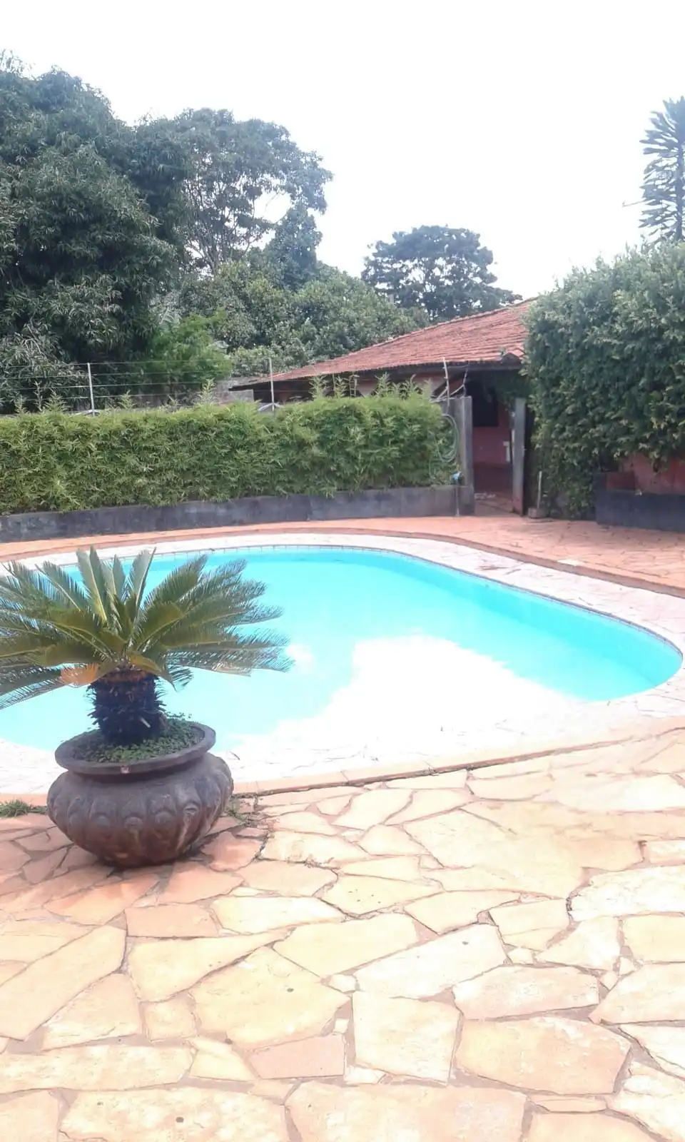 Foto da piscina à noite